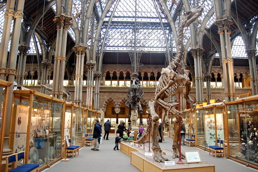 Museum Of Natural History