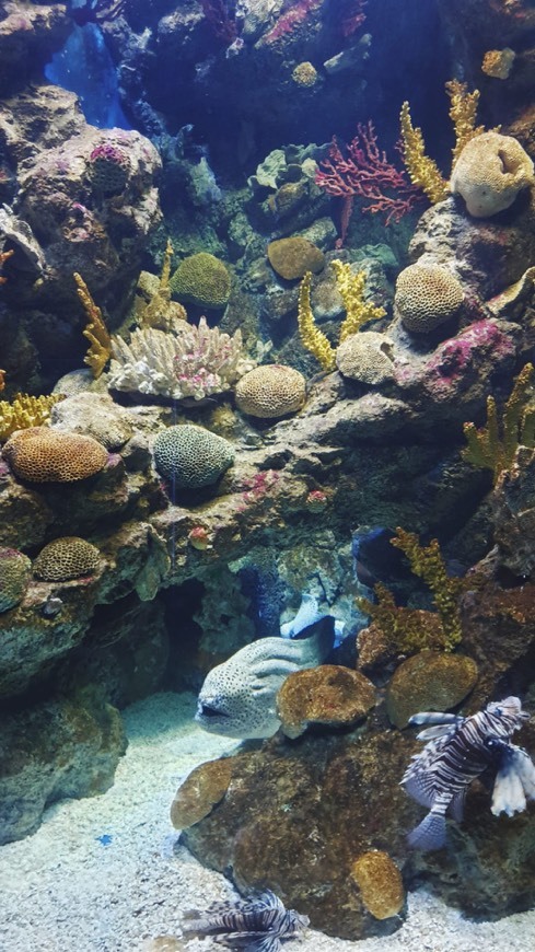 Lugar Aquarium de Barcelona