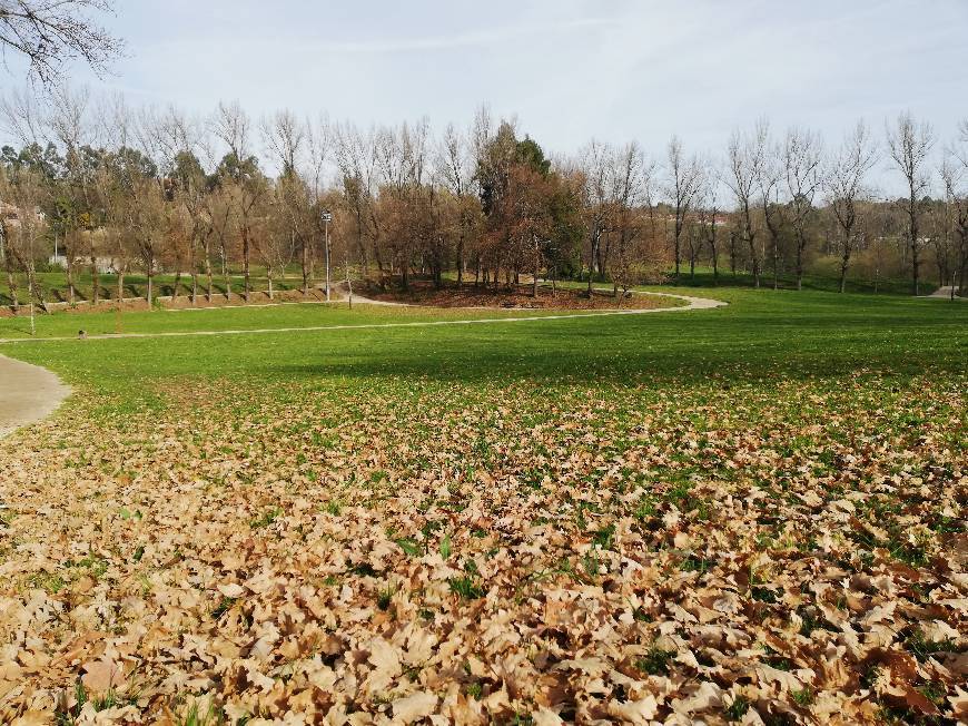 Lugar Parque Da Cidade