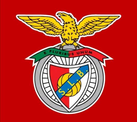 Benfica Oficial 