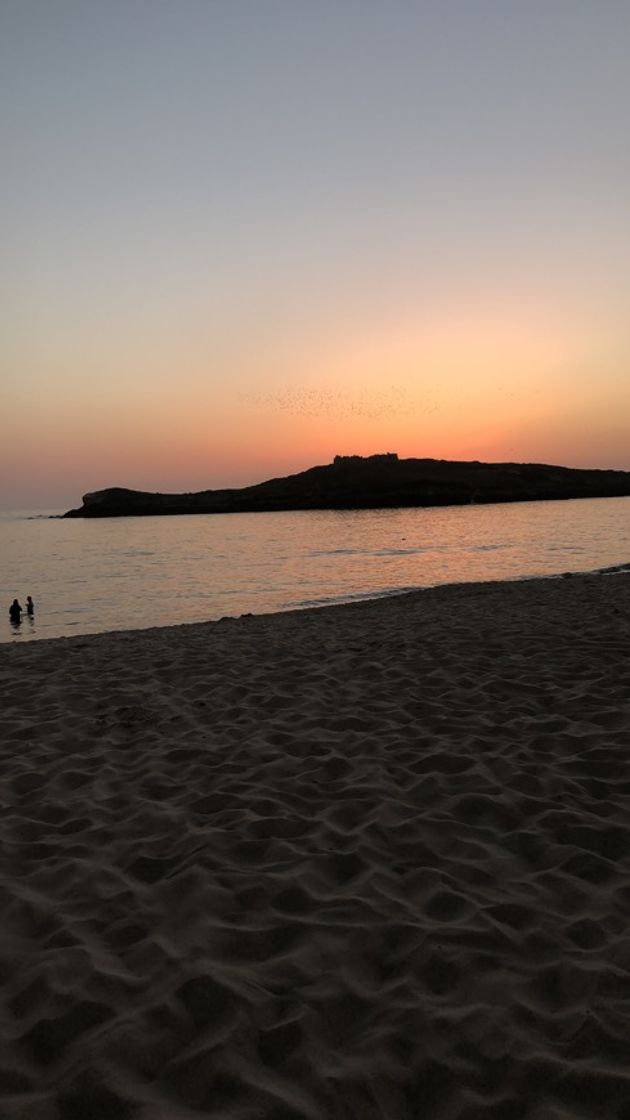 Lugar Praia da Ilha do Pessegueiro