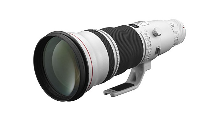 Social Canon EF 600mm f/4L IS II USM