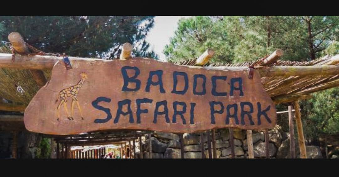 Places Badoca Safari Park