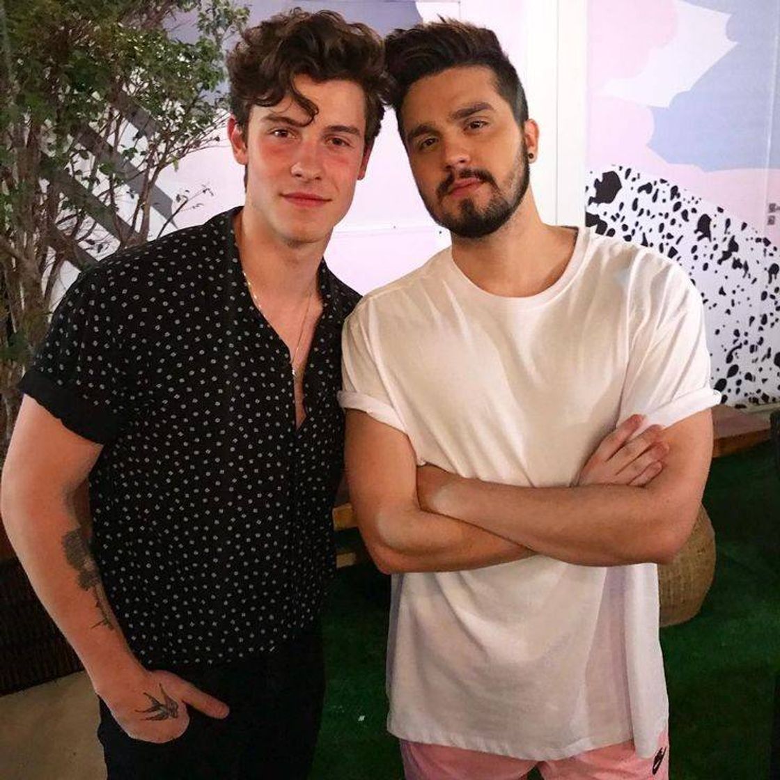 Fashion Shawn Mendes e Luan Santana