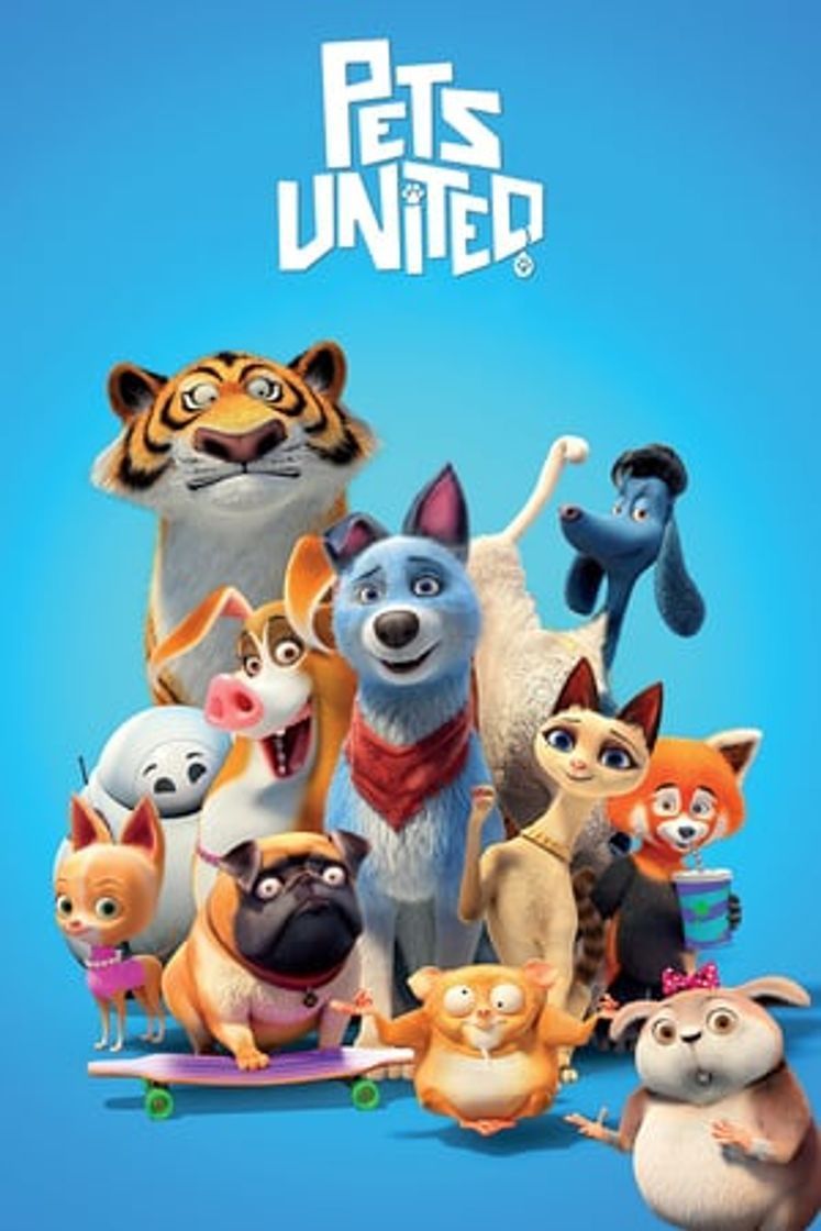 Película Mascotas unidas