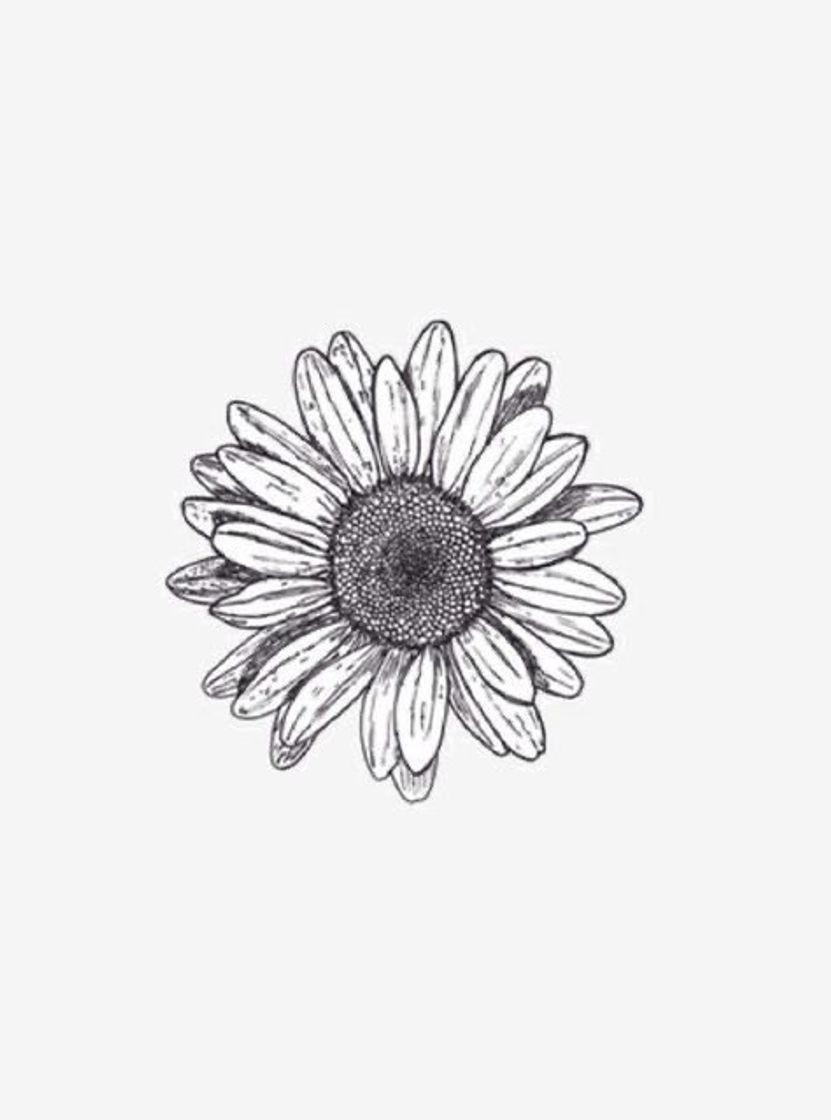 Fashion Tattoo Flor 🌼