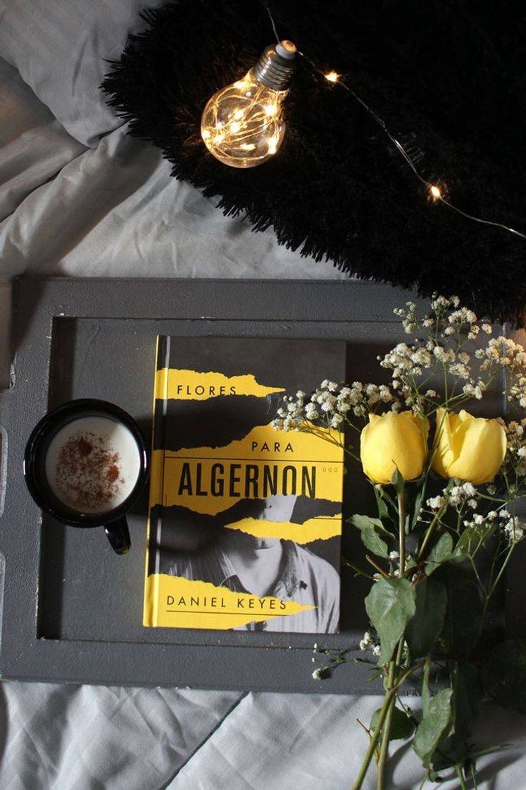 Book Flores para Algernon