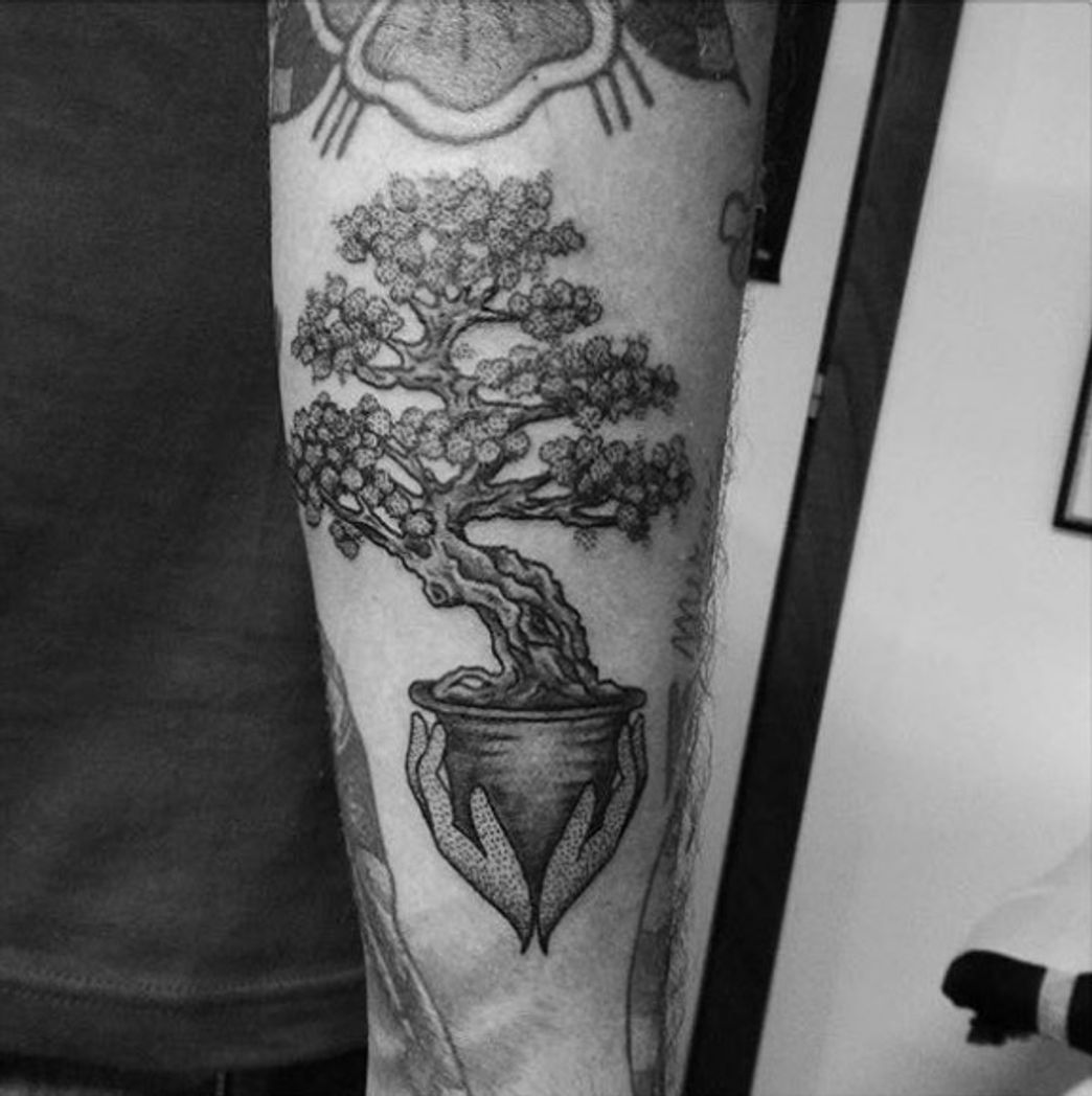 Moda Bonsai tatuagem 