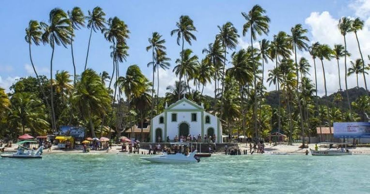 Lugar Praia dos Carneiros