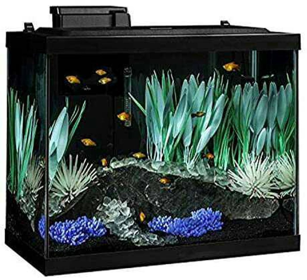 Productos Tetra ColorFusion Aquarium 20 Gallon Fish Tank Kit