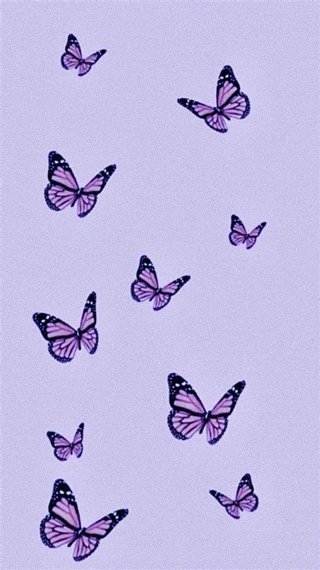 Moda Butterfly wallpaper 🦋