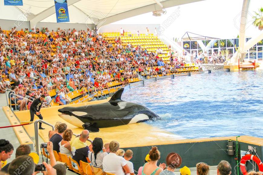 Lugar Loro Parque