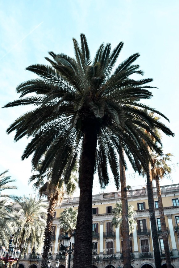 Place Plaça Reial