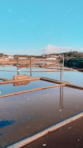 Salinas de Rio Maior