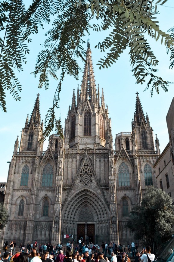 Lugar Catedral de Barcelona