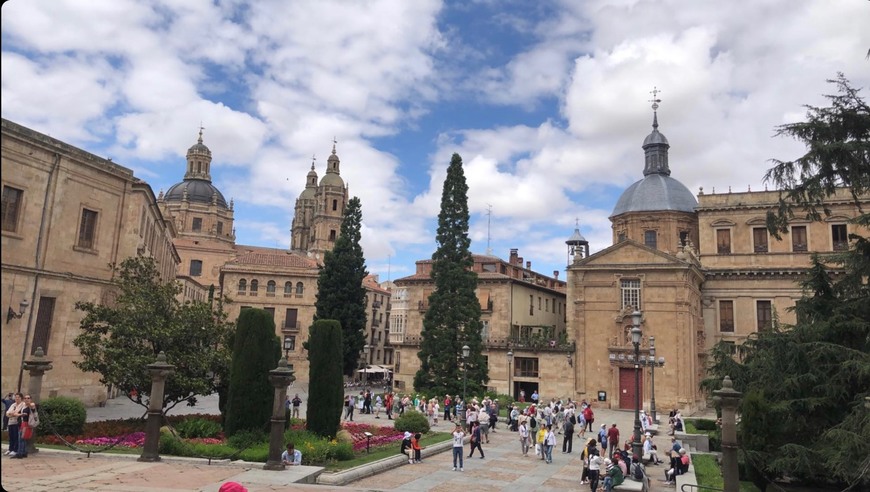 Place Salamanca