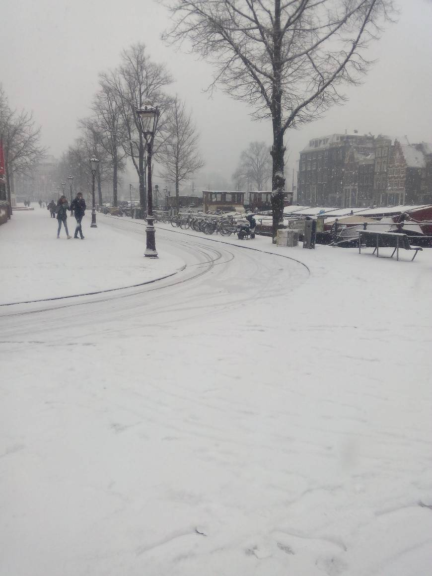 Lugar Barrio rojo de Ámsterdam