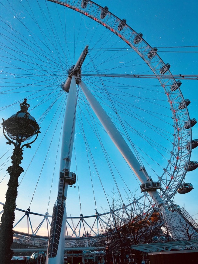 Place London Eye