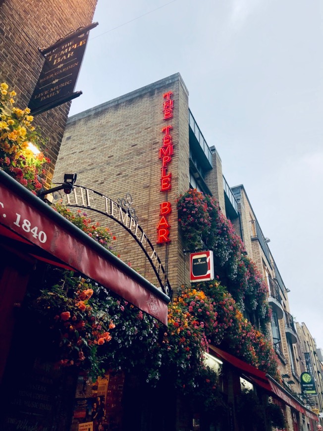 Restaurants Temple Bar