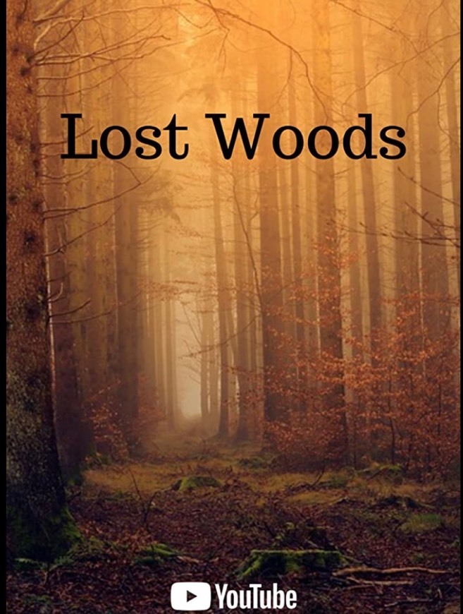 Lost in the Woods