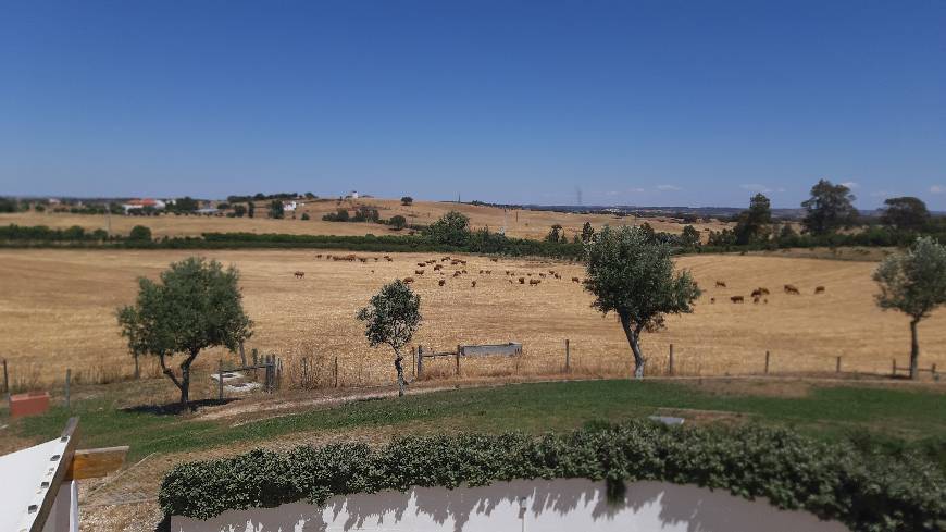 Place Herdade Dos Montes Bastos