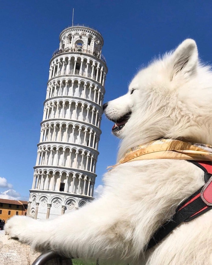 Place Torre de Pisa