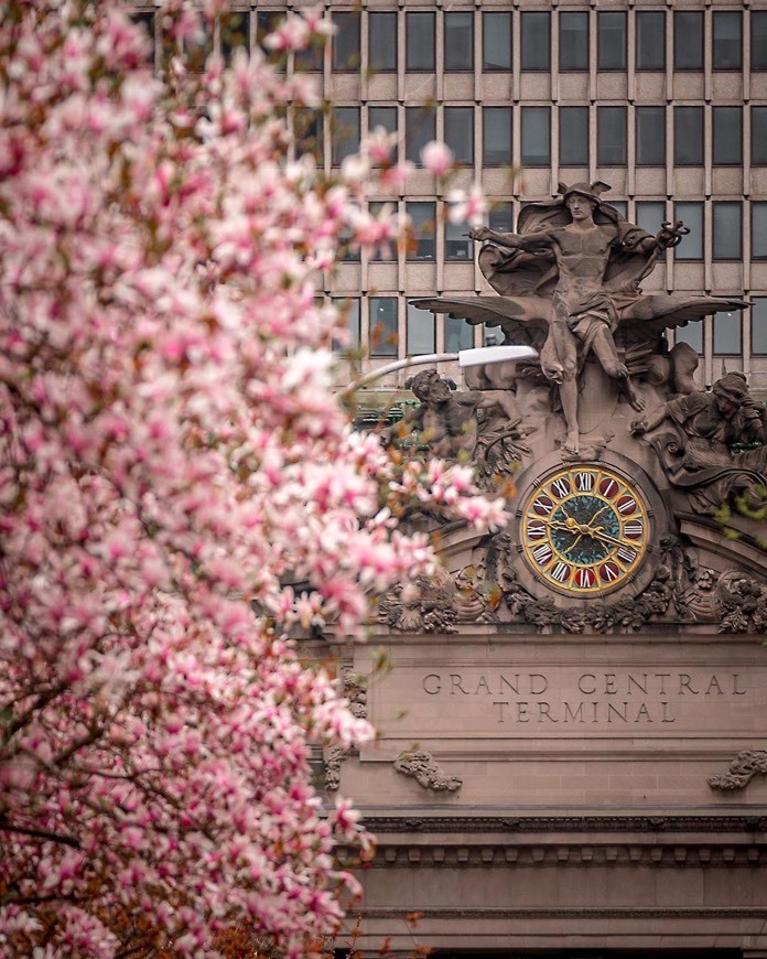 Place Grand Central Terminal