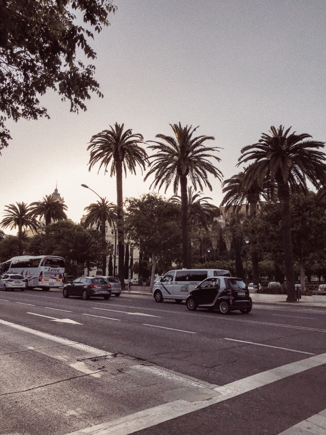 Place Málaga