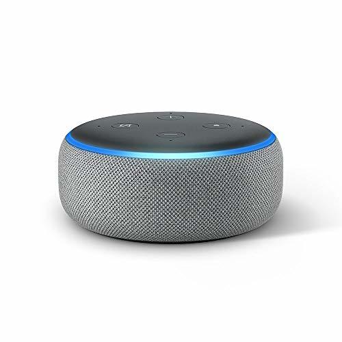 Electronic Echo Dot