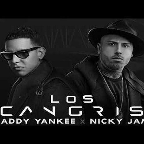 Music Donde Estan Las Gatas (feat. Nicky Jam)