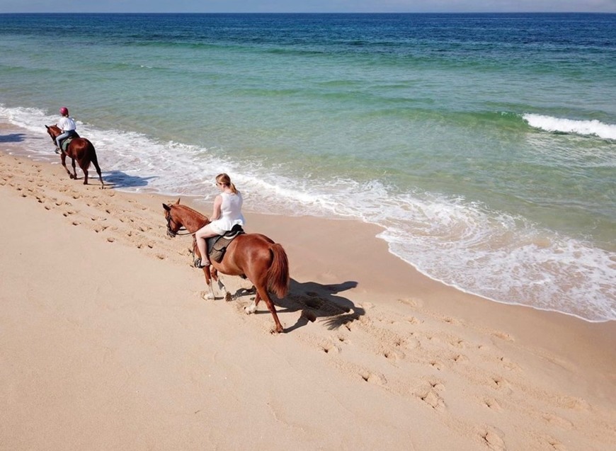 Place Cavalos na Areia