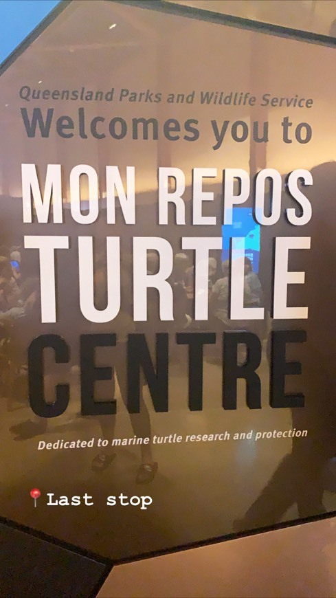 Place Mon Repos Turtle Centre