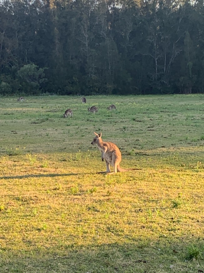 Lugar Coombabah Lake Conservation Park