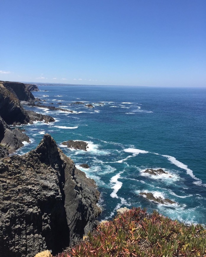 Place Cabo Sardão