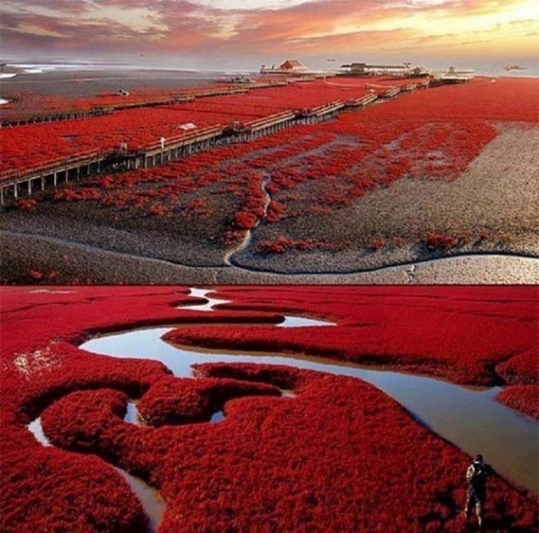 Lugar Red Beach