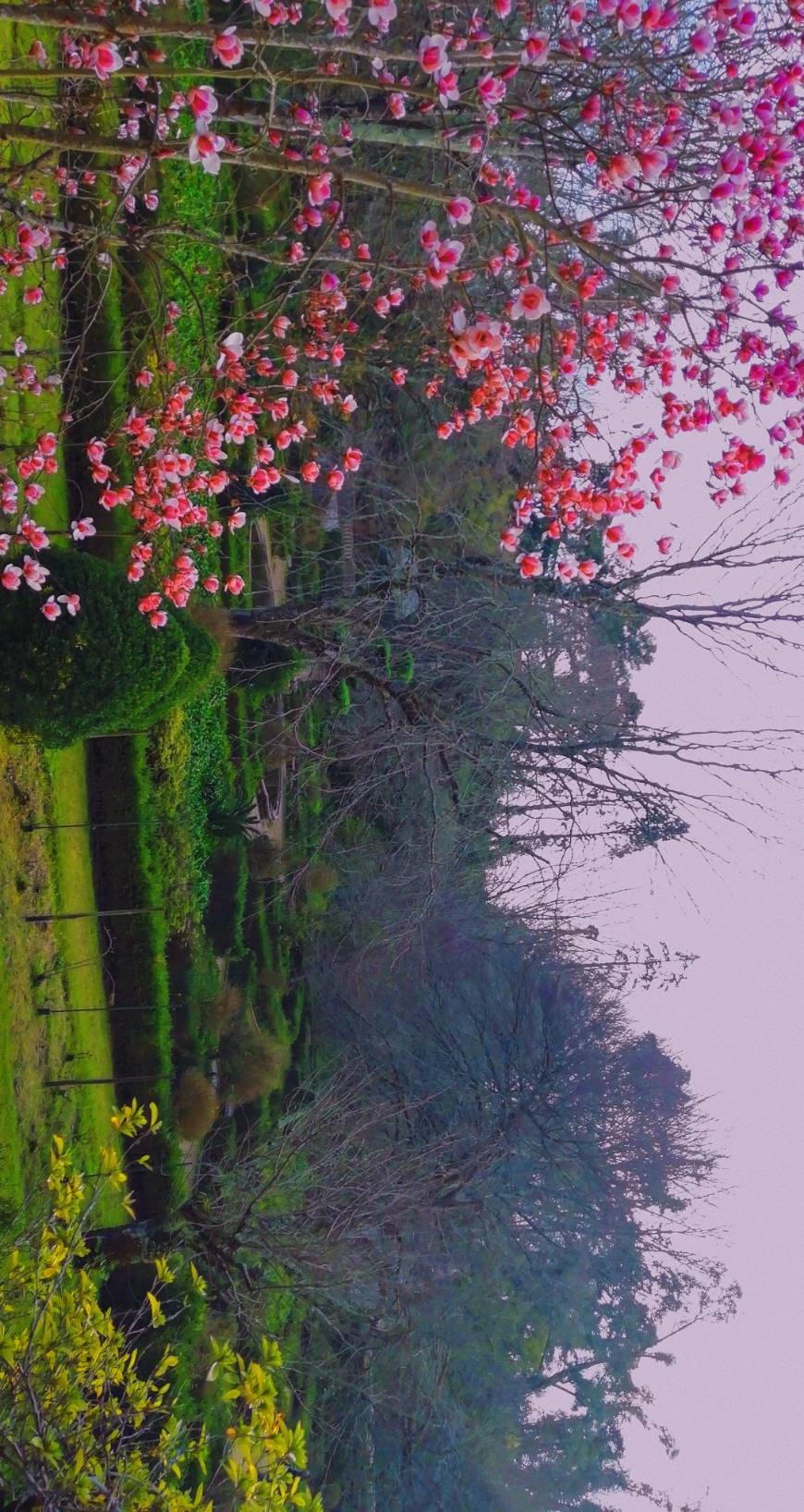 Lugar Jardim Botânico da Universidade de Coimbra