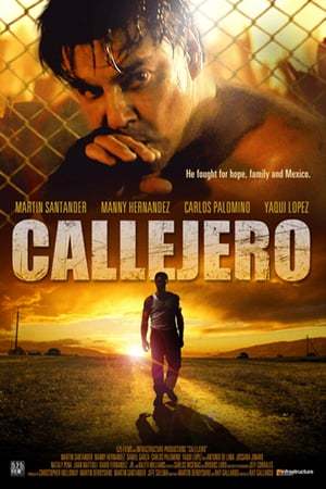 Película Callejero