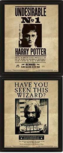 Harry Potter - Poster 3D Potter