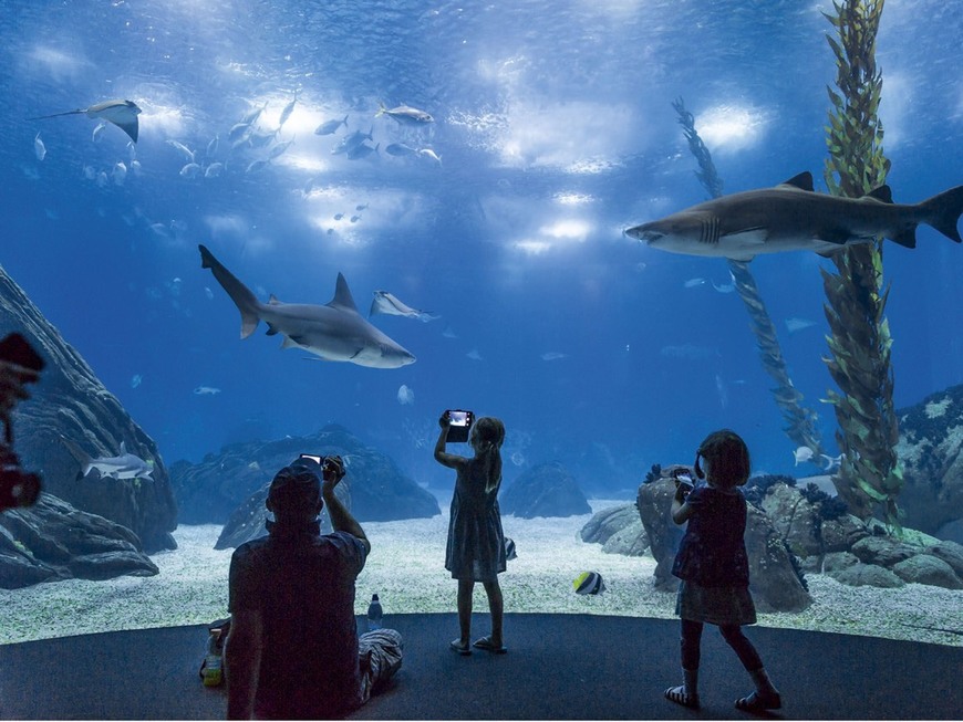 Place Oceanario de Lisboa