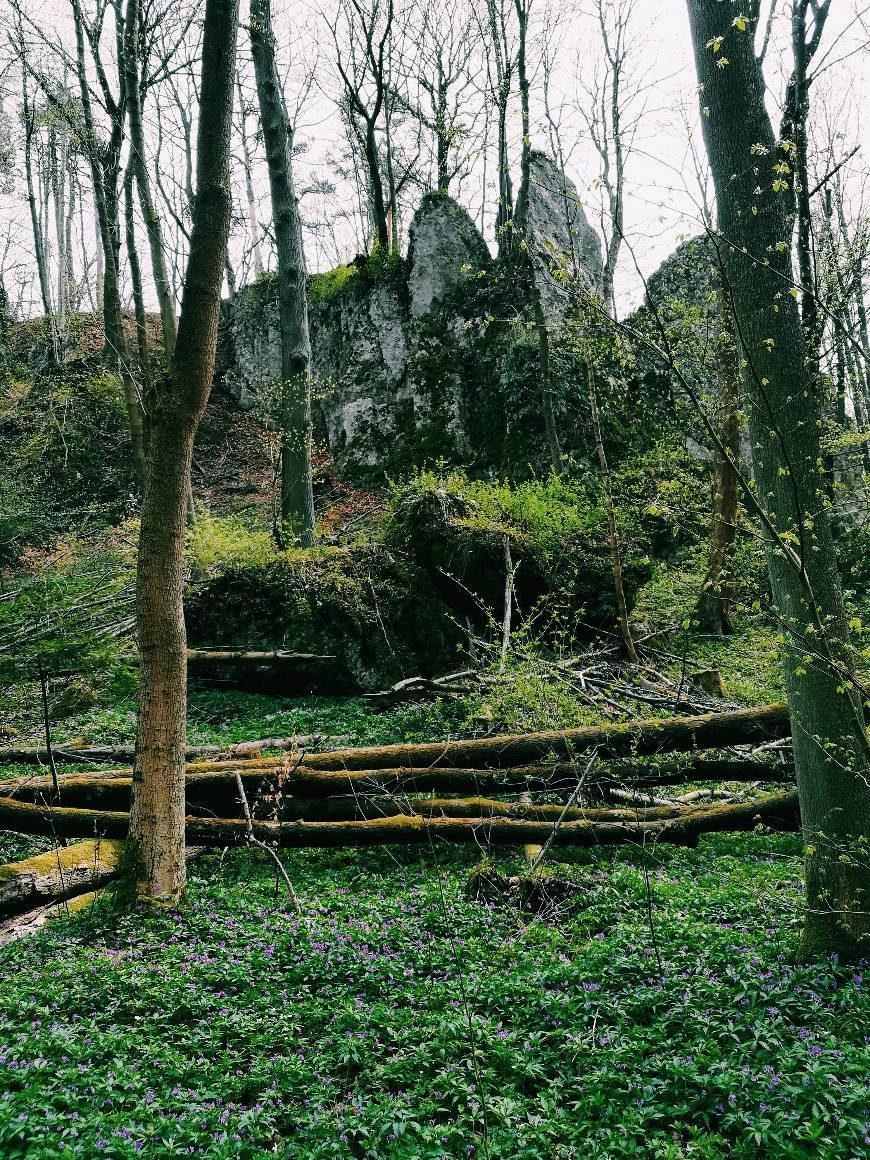 Place Parque Nacional Ojcow