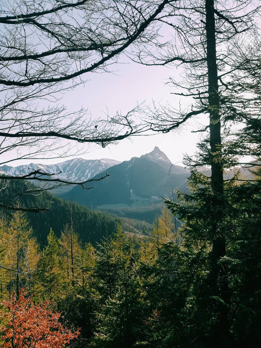 Place Tatra National Park