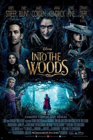 Movie Into the Woods