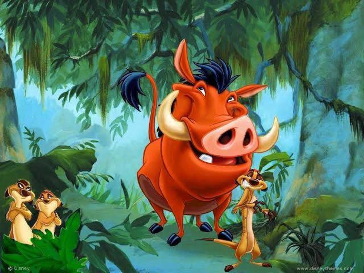 Serie Timón y Pumba