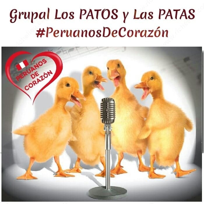 Music Los Patos y las Patas