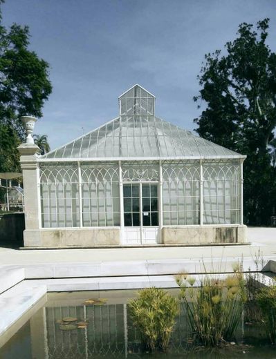 Jardim Botânico da Universidade de Coimbra