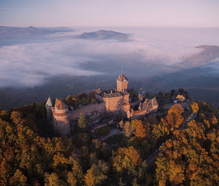 Lugar Château du Haut-Kœnigsbourg