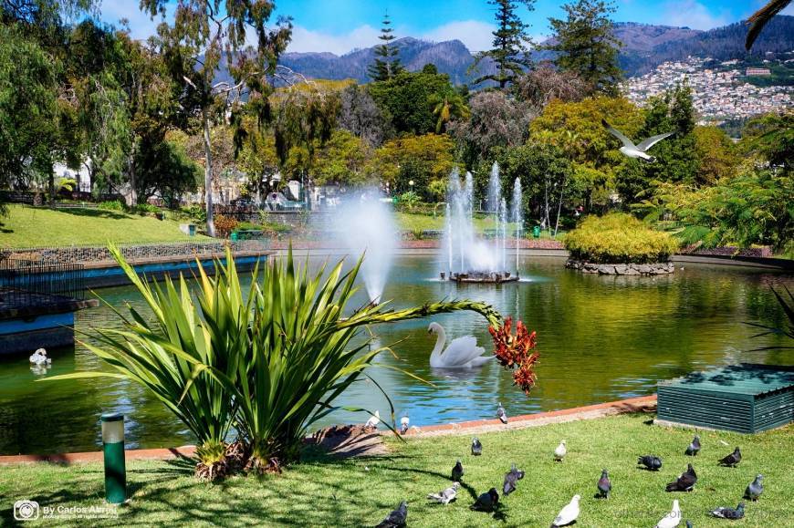 Place Santa Catarina Park