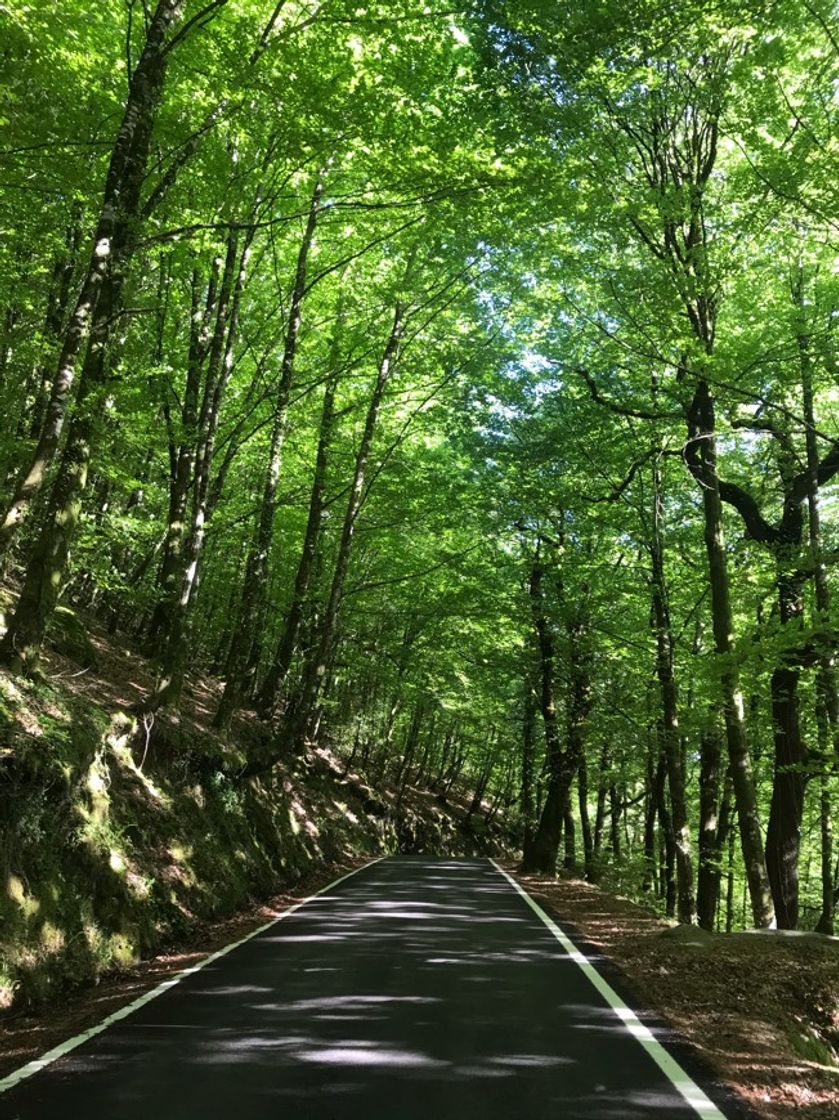 Lugar Peneda-Gerês National Park