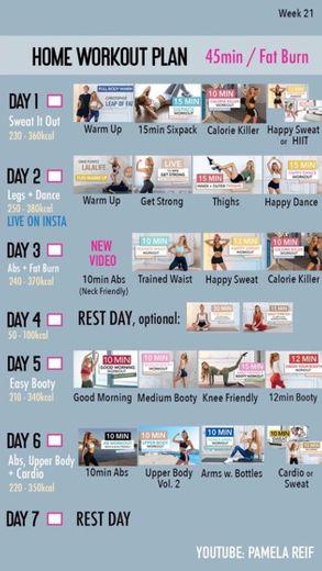45 min fat burn workout plan (21 week)