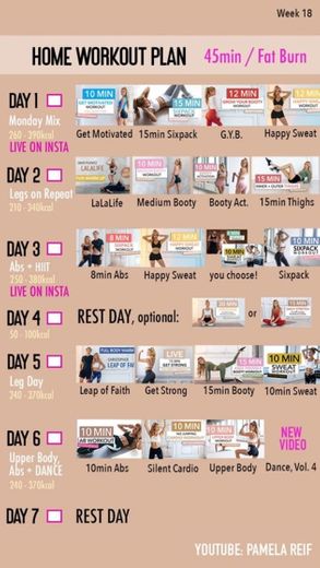 45 min fat burn workout plan (18 week)